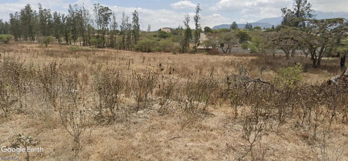 Venta Terrenos Puembo Sector Napoles — imagen 5
