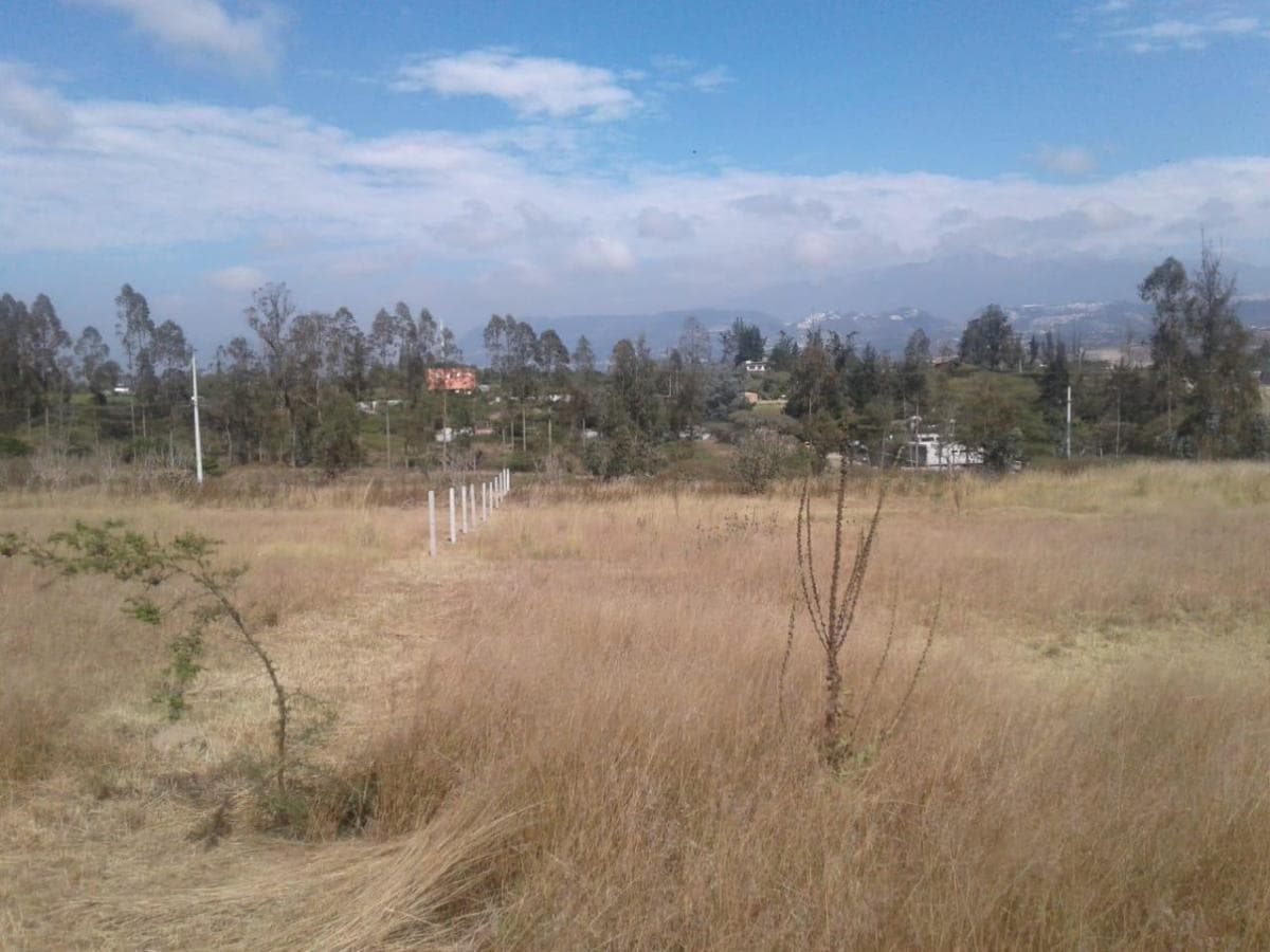 Venta Terrenos Puembo Sector Napoles — imagen 4