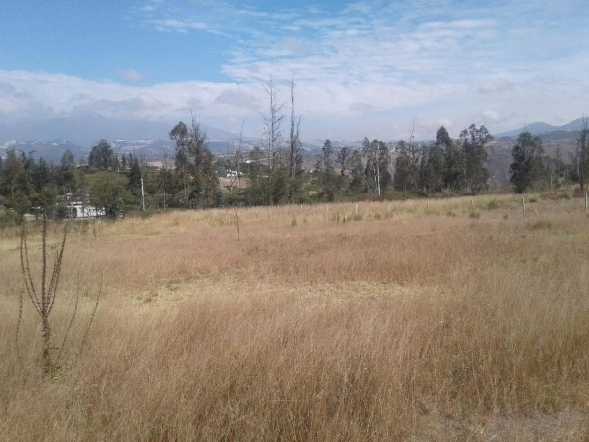 Venta Terrenos Puembo Sector Napoles — imagen 3