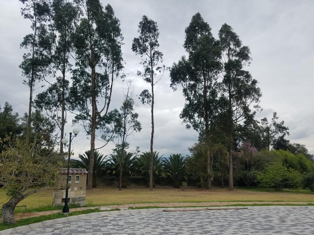 Mv - Sector Puembo, en Venta Hermoso Terreno 1278 m², en Urbanizacion — imagen 7