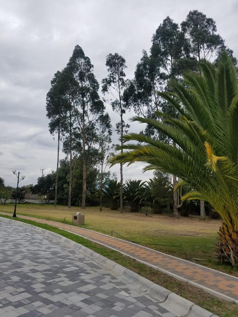 Mv - Sector Puembo, en Venta Hermoso Terreno 1278 m², en Urbanizacion — imagen 4