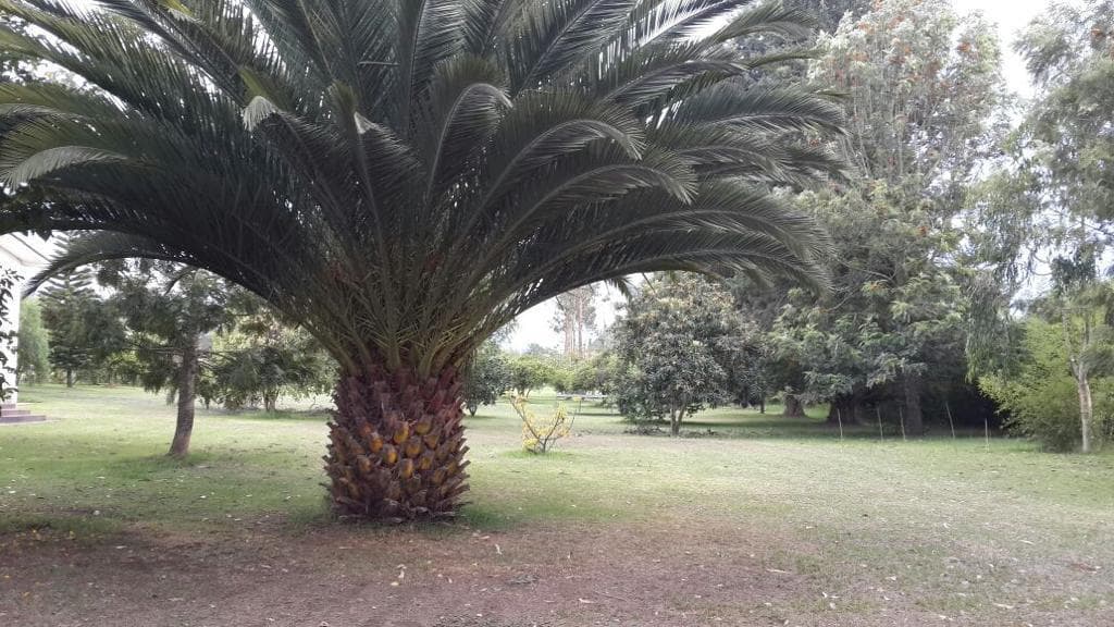 Mv - Sector Puembo, en Venta Hermoso Terreno 1278 m², en Urbanizacion — imagen 3