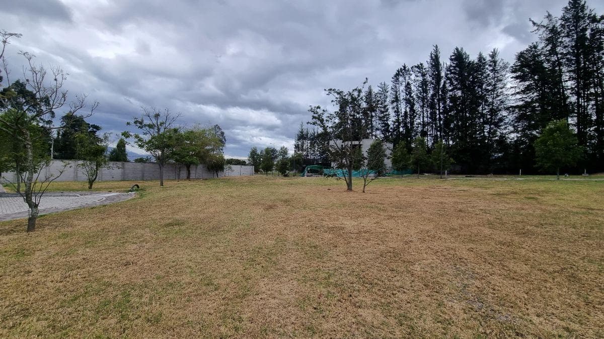 Terreno en Venta Dentro de Conjunto en Puembo — imagen 6
