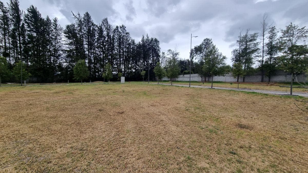 Terreno en Venta Dentro de Conjunto en Puembo — imagen 4