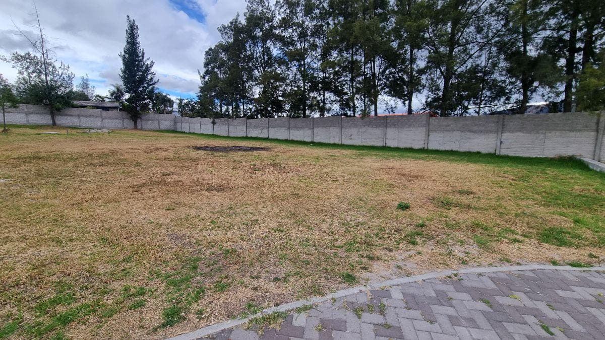Terreno en Venta Dentro de Conjunto en Puembo — imagen 3