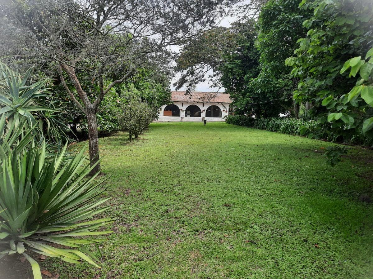 Casa, Quinta, Puembo — imagen 1