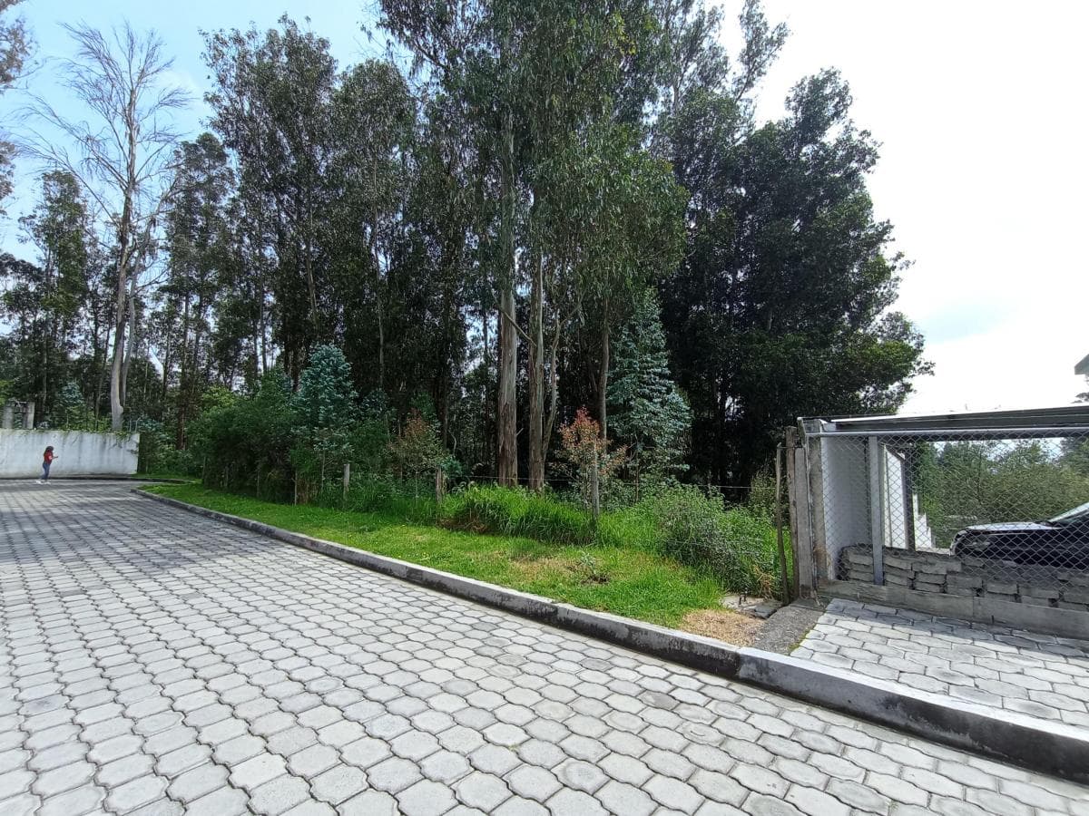 Hermoso Terreno 2.777 m² - Armenia 2 — imagen 1