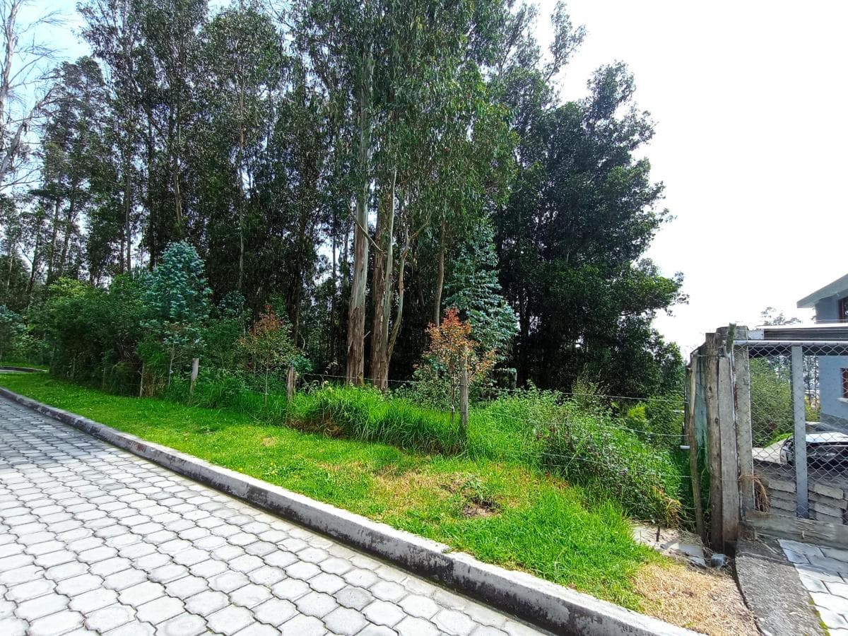 Hermoso Terreno 2.777 m² - Armenia 2 — imagen 10