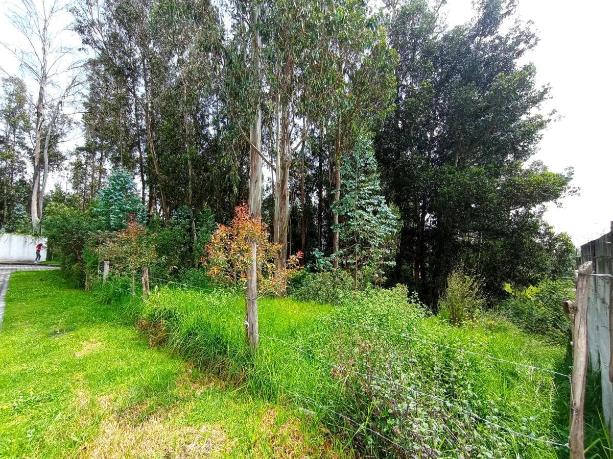 Hermoso Terreno 2.777 m² - Armenia 2 — imagen 6