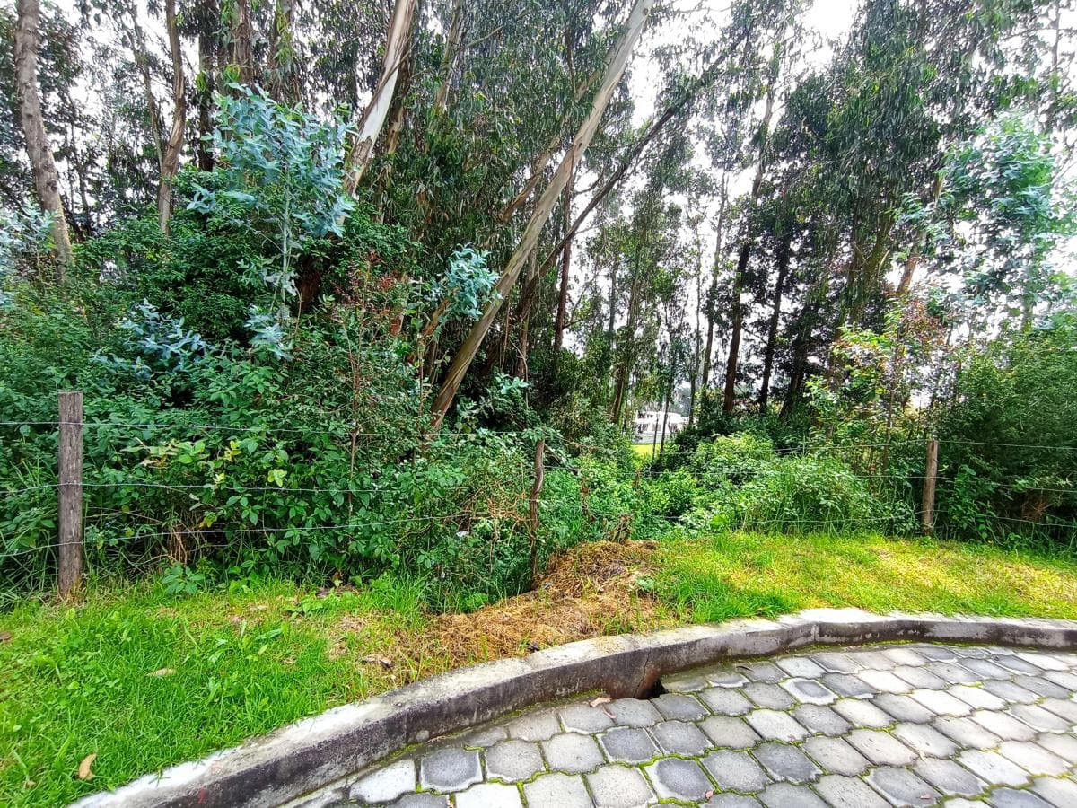 Hermoso Terreno 2.777 m² - Armenia 2 — imagen 4