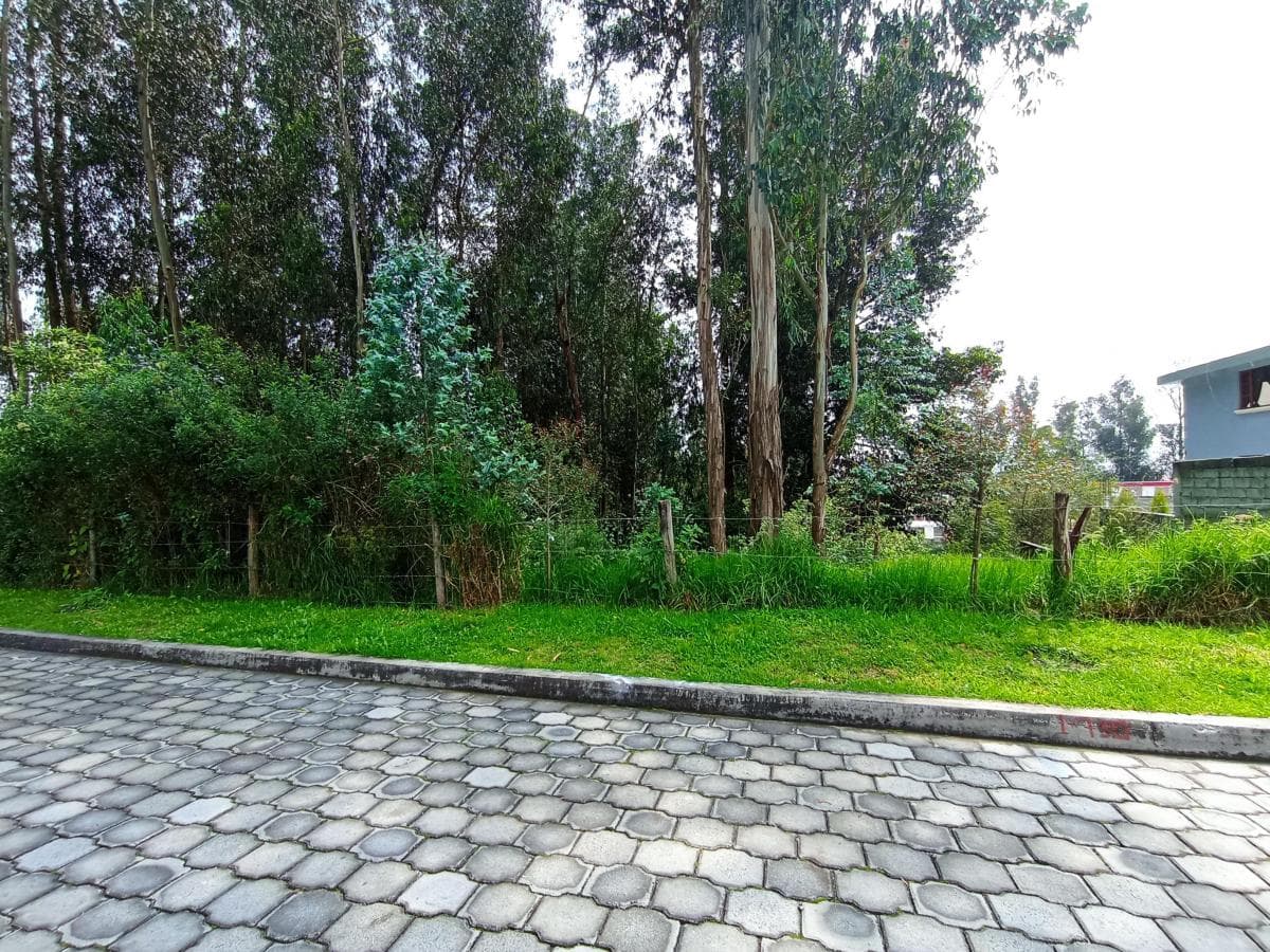 Hermoso Terreno 2.777 m² - Armenia 2 — imagen 2