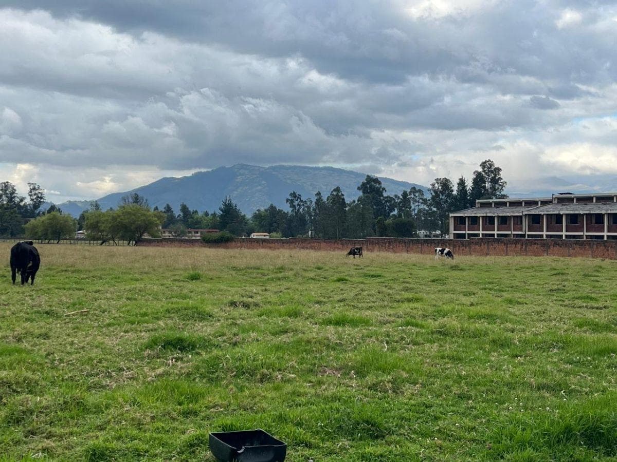 Terreno en Venta Sector Conocoto Valle de Los Chillos — imagen 2