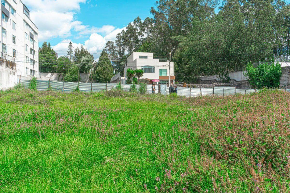 Terreno en Monteserrín — imagen 8