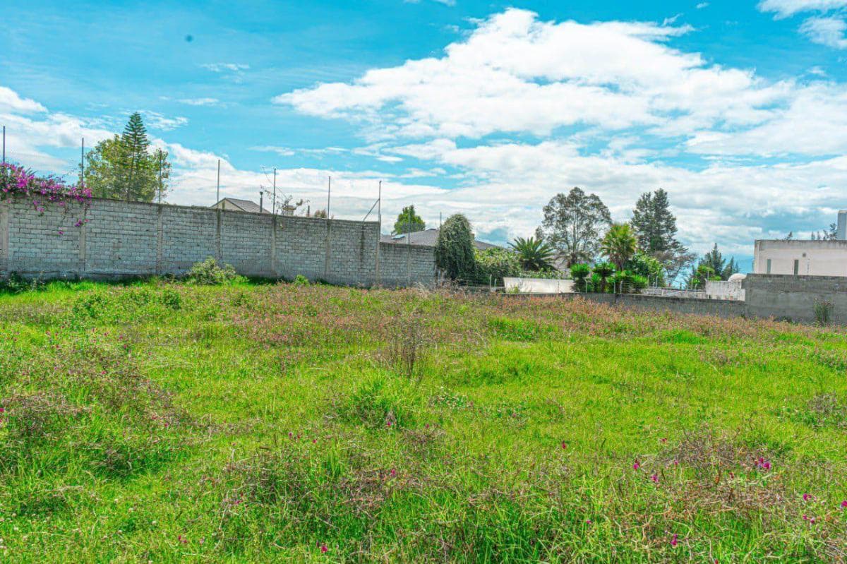Terreno en Monteserrín — imagen 6