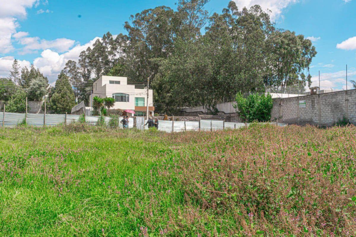 Terreno en Monteserrín — imagen 5