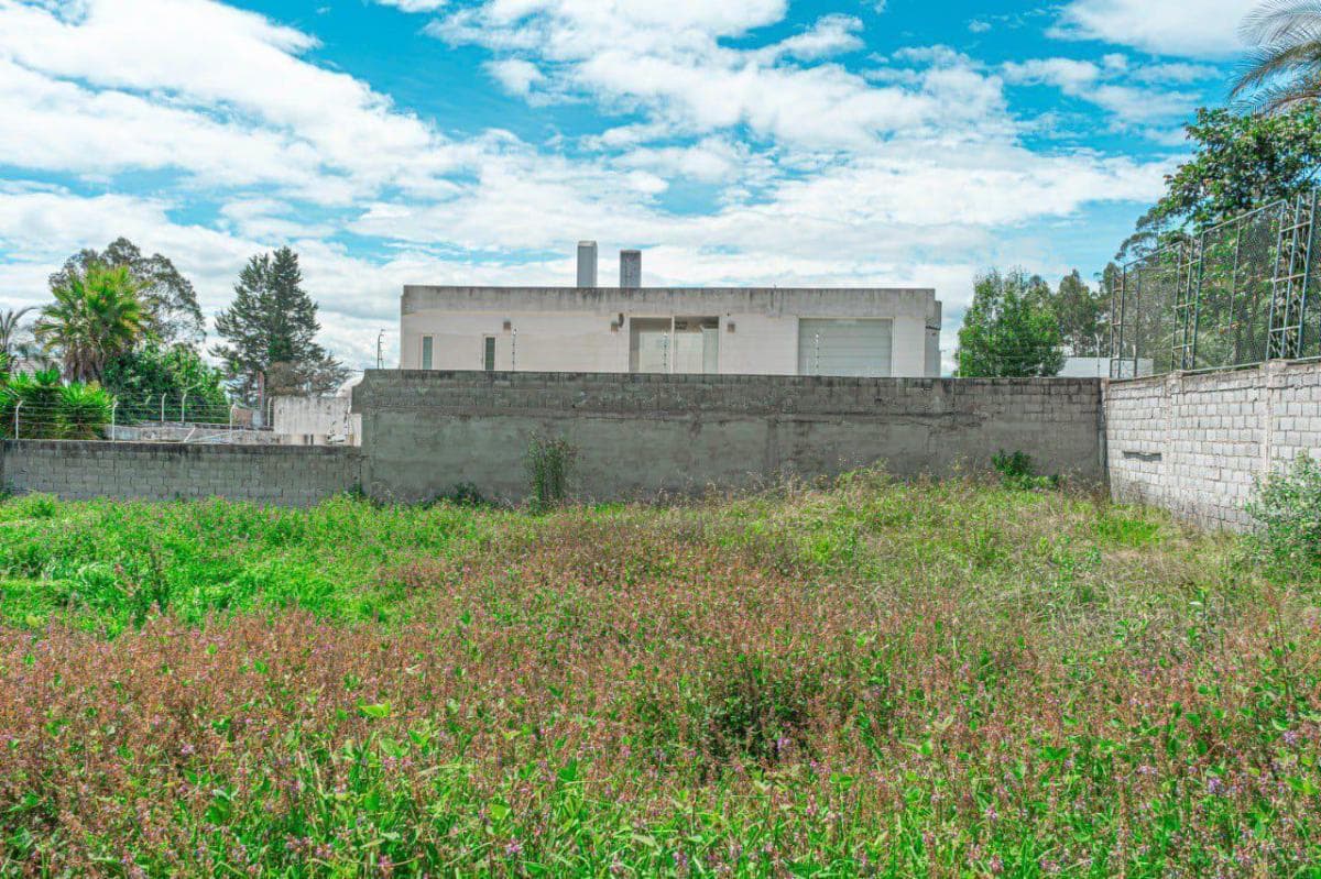 Terreno en Monteserrín — imagen 4