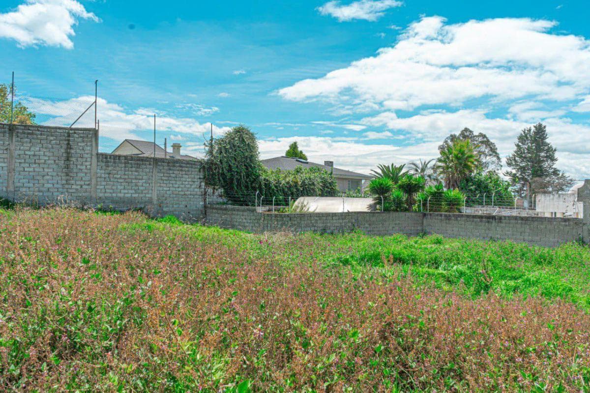 Terreno en Monteserrín — imagen 3