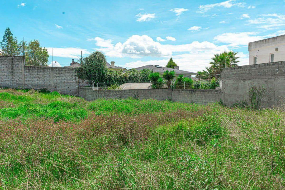 Terreno en Monteserrín — imagen 2