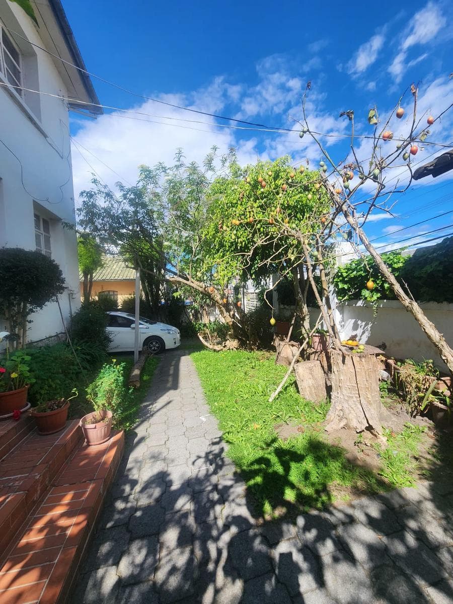 Terreno en Centro Norte — imagen 5