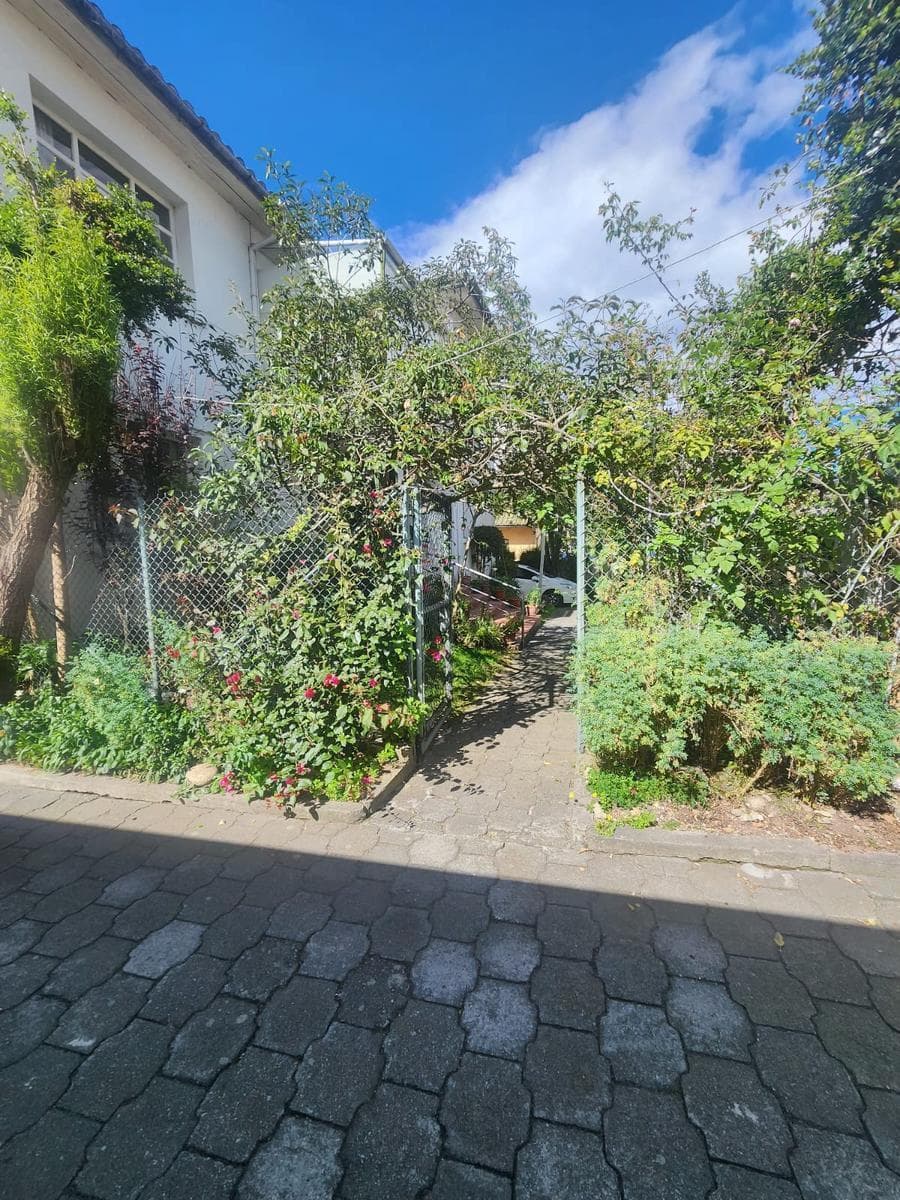 Terreno en Centro Norte — imagen 4