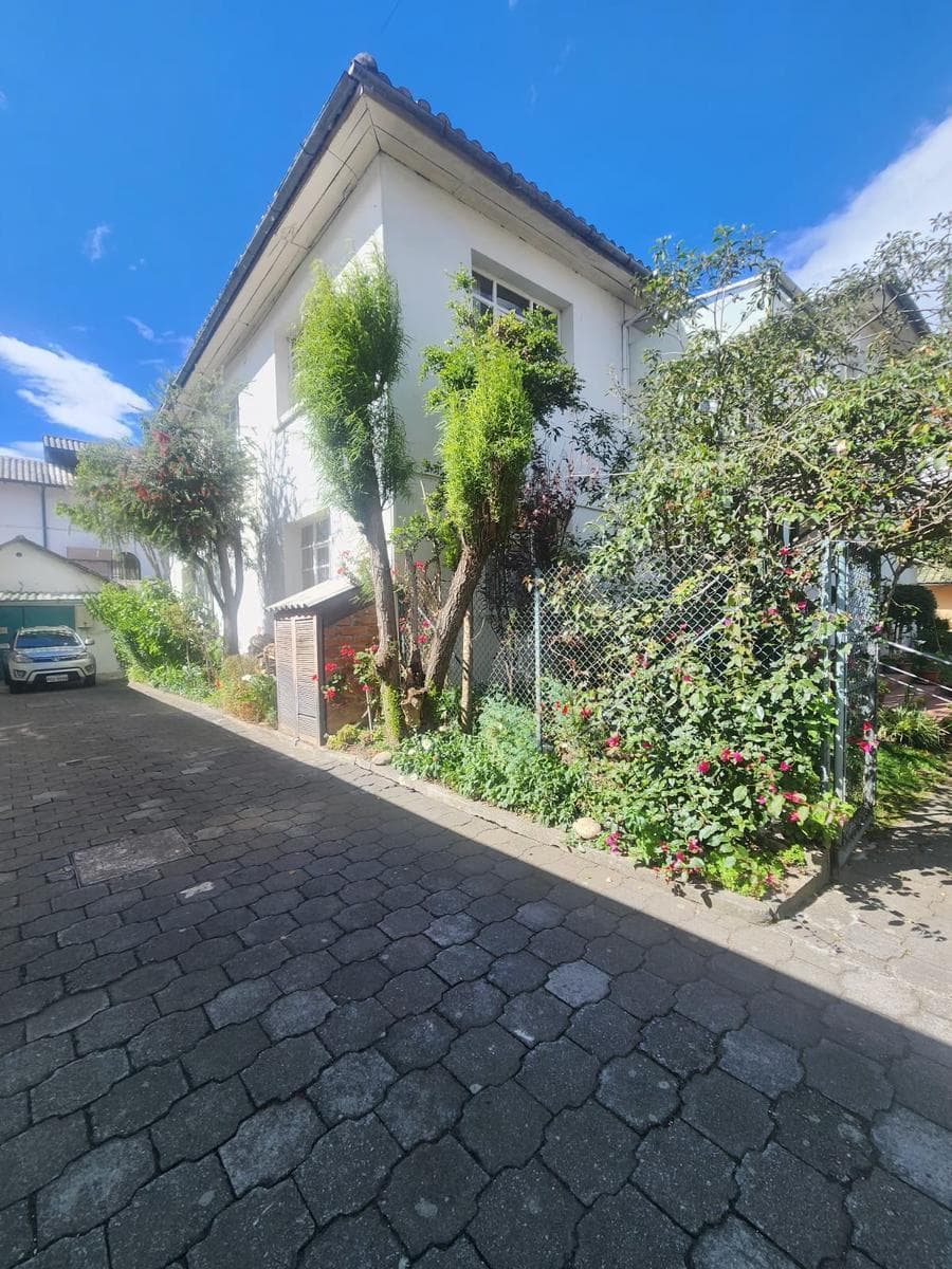 Terreno en Centro Norte — imagen 3