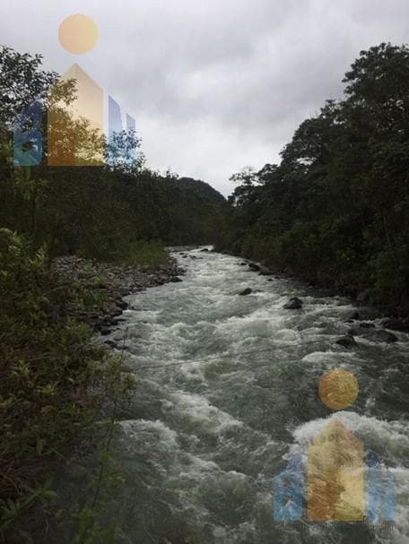 Terreno en Veta en Mindo a 14 Km del Centro — imagen 7