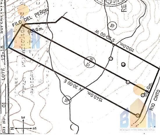 Terreno en Veta en Mindo a 14 Km del Centro — imagen 3