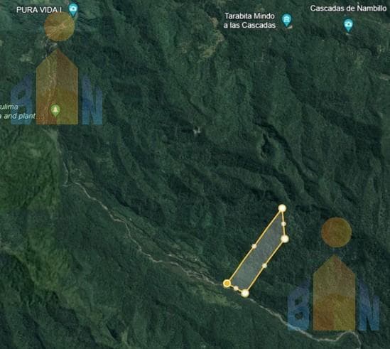 Terreno en Veta en Mindo a 14 Km del Centro — imagen 2