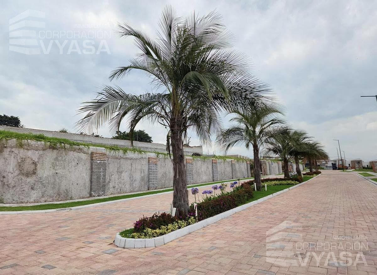 Tumbaco - Churoloma, Exclusivo Terreno de 669.31 m² en Venta Lt - 31 — imagen 8