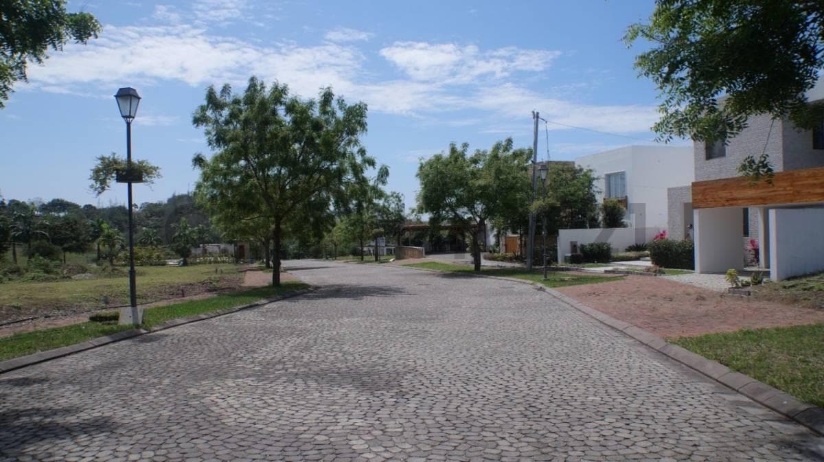 22316 Disfruta La Vida en Sol de Olon — imagen 8