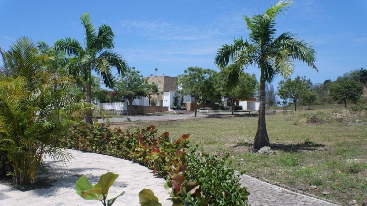 22316 Disfruta La Vida en Sol de Olon — imagen 6