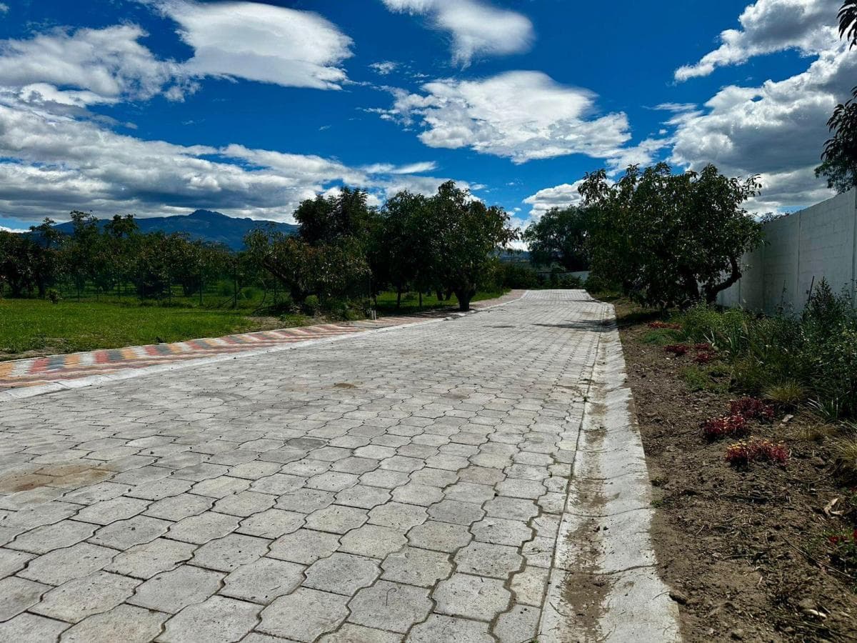 Terreno en Quito — imagen 7
