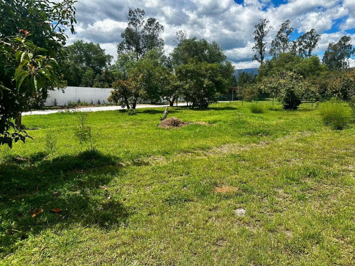 Terreno en Quito — imagen 6