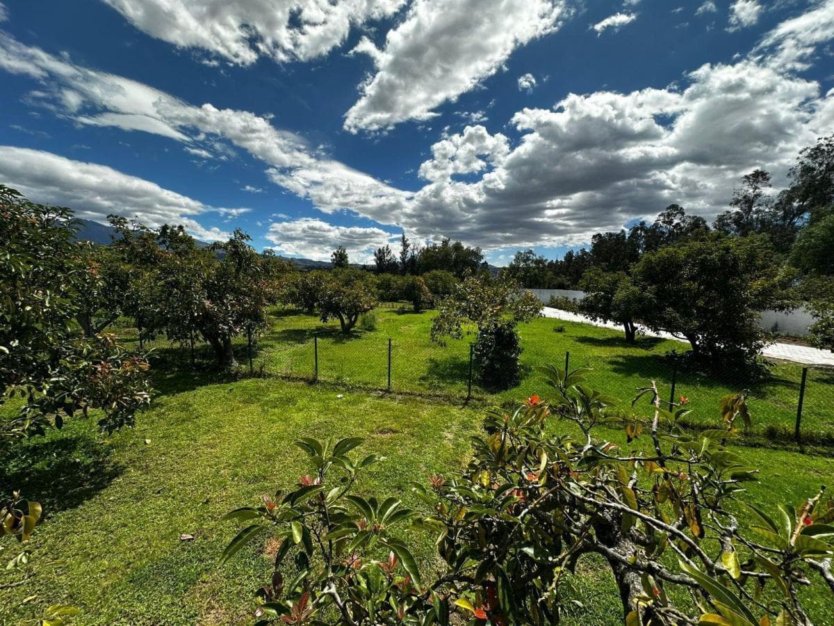 Terreno en Quito — imagen 3