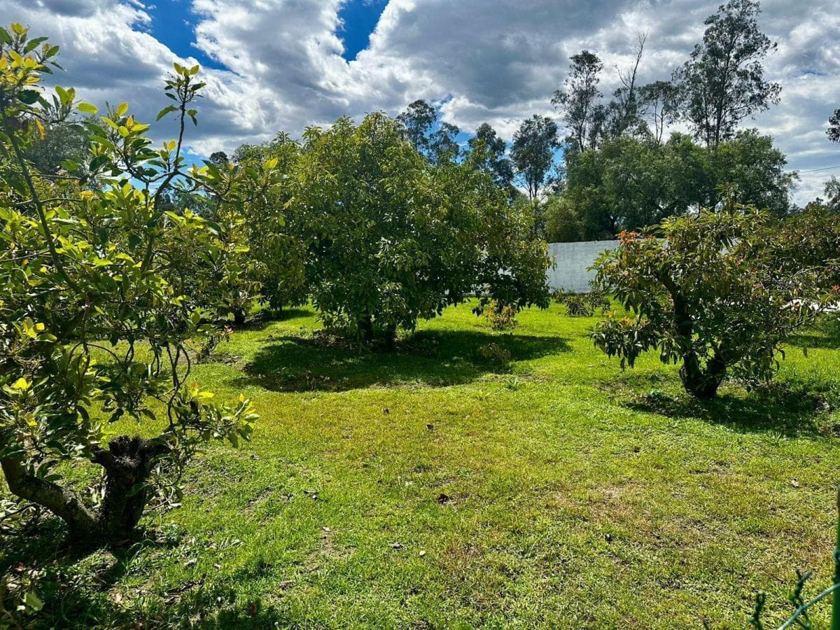 Terreno en Quito — imagen 2