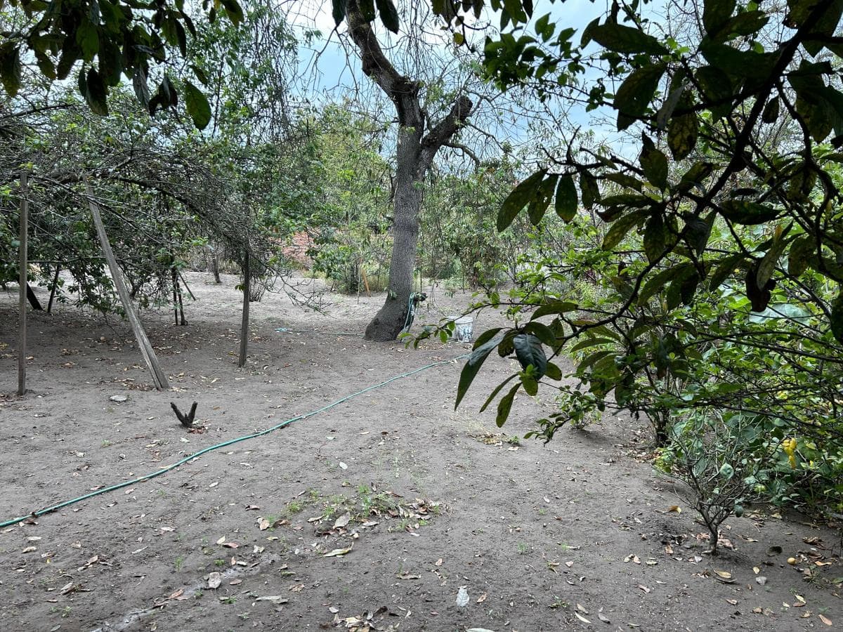 Venta Casa Rentera con Amplio Terreno Sector Mercado Oriental, Chimborazo — imagen 8