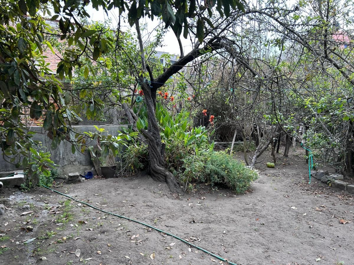 Venta Casa Rentera con Amplio Terreno Sector Mercado Oriental, Chimborazo — imagen 7