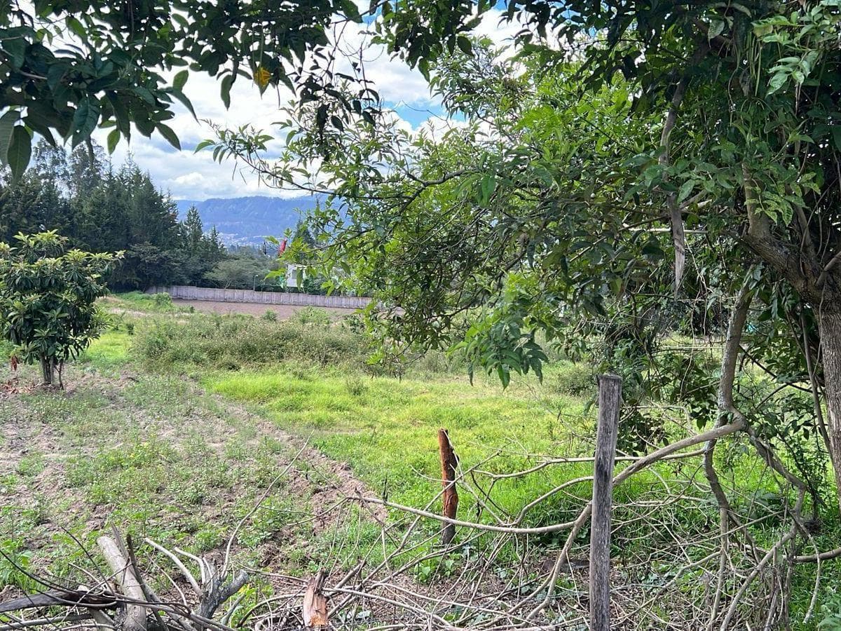 Puembo Terrenos de Venta Sector Arrayanes — imagen 1