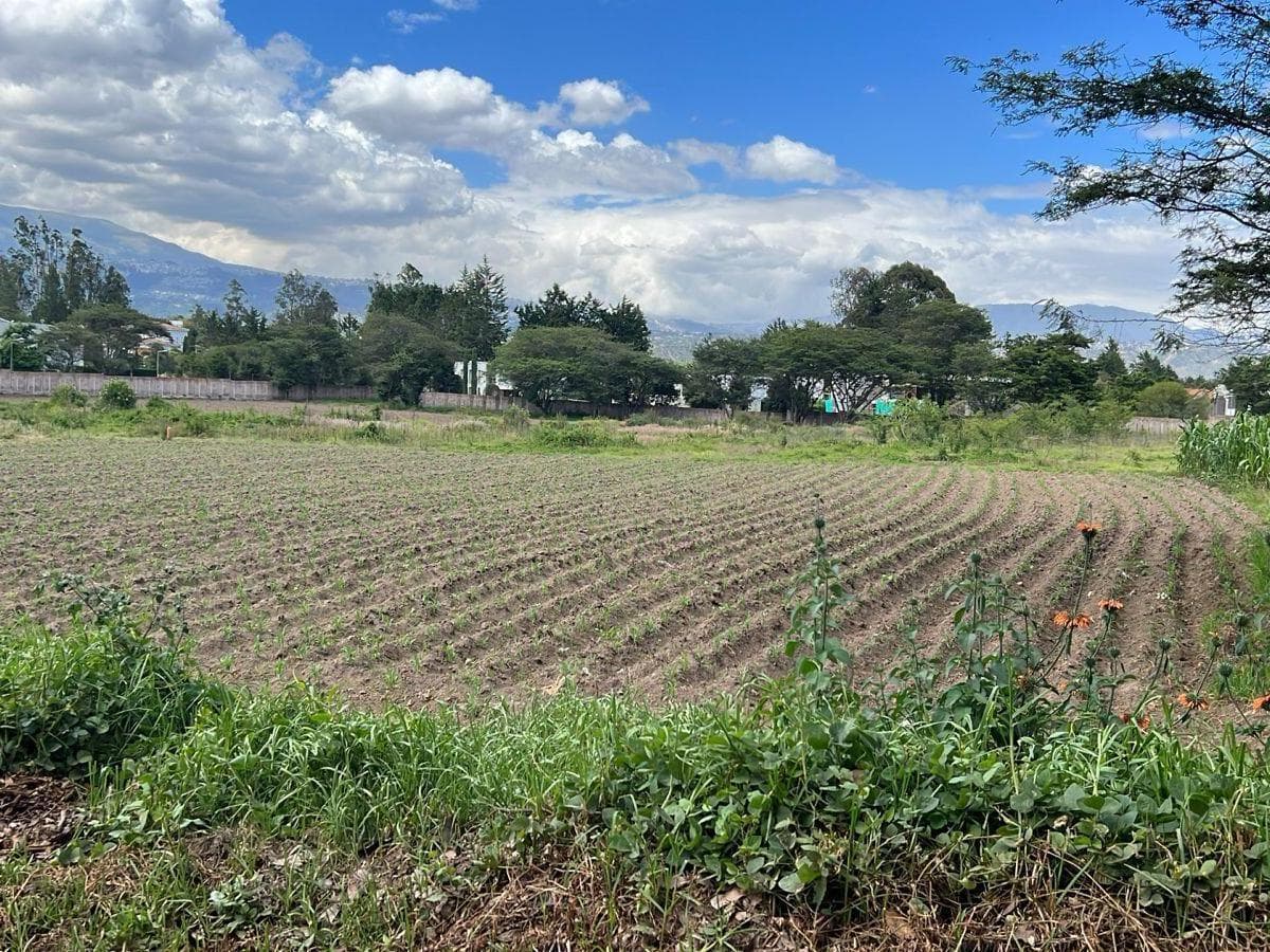 Puembo Terrenos de Venta Sector Arrayanes — imagen 2