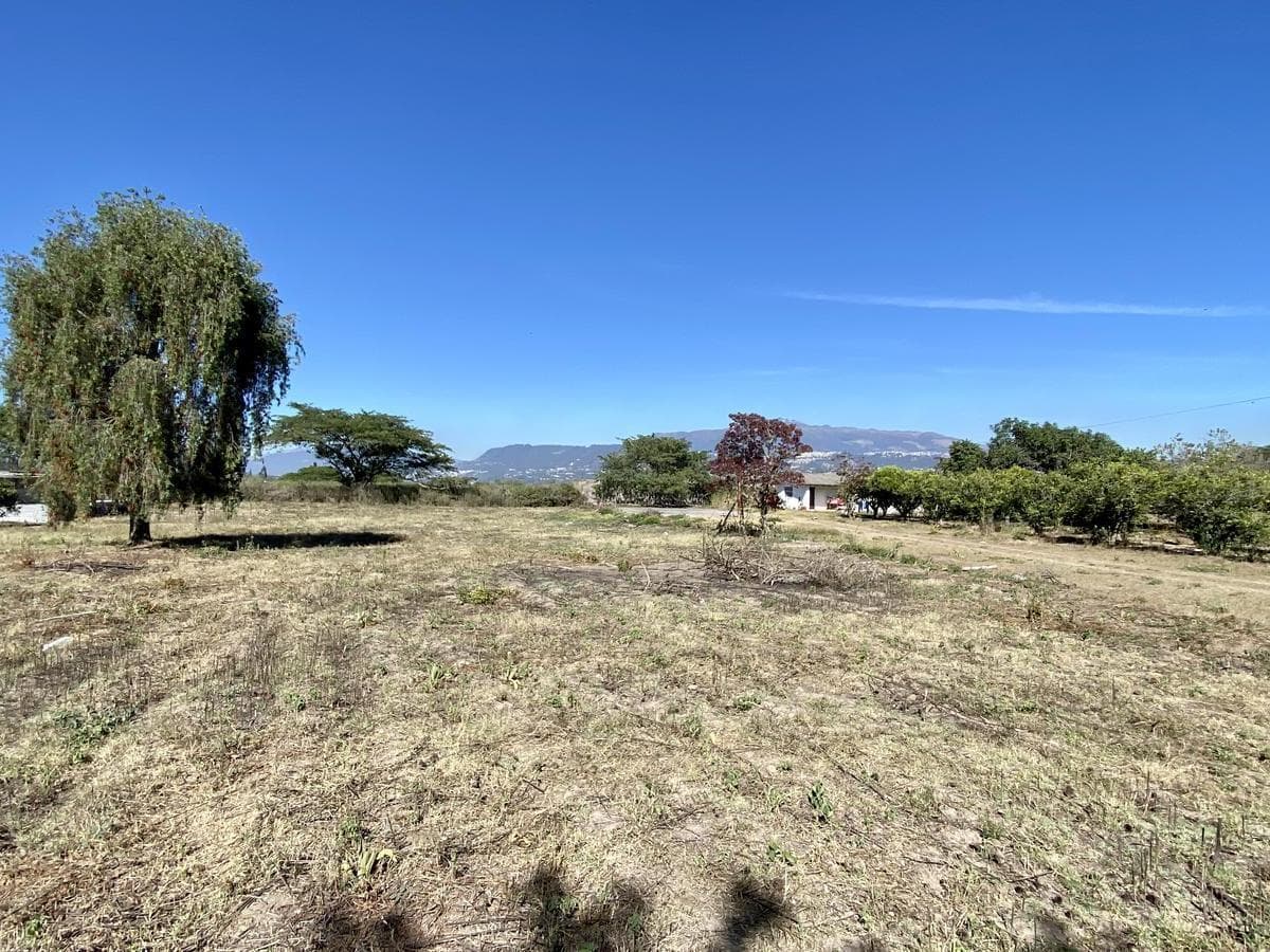 Vendo 3 Últimos Terrenos Desde 1.000 m² a $160 C/m² en Puembo (Ubicación Privilegiada) — imagen 10
