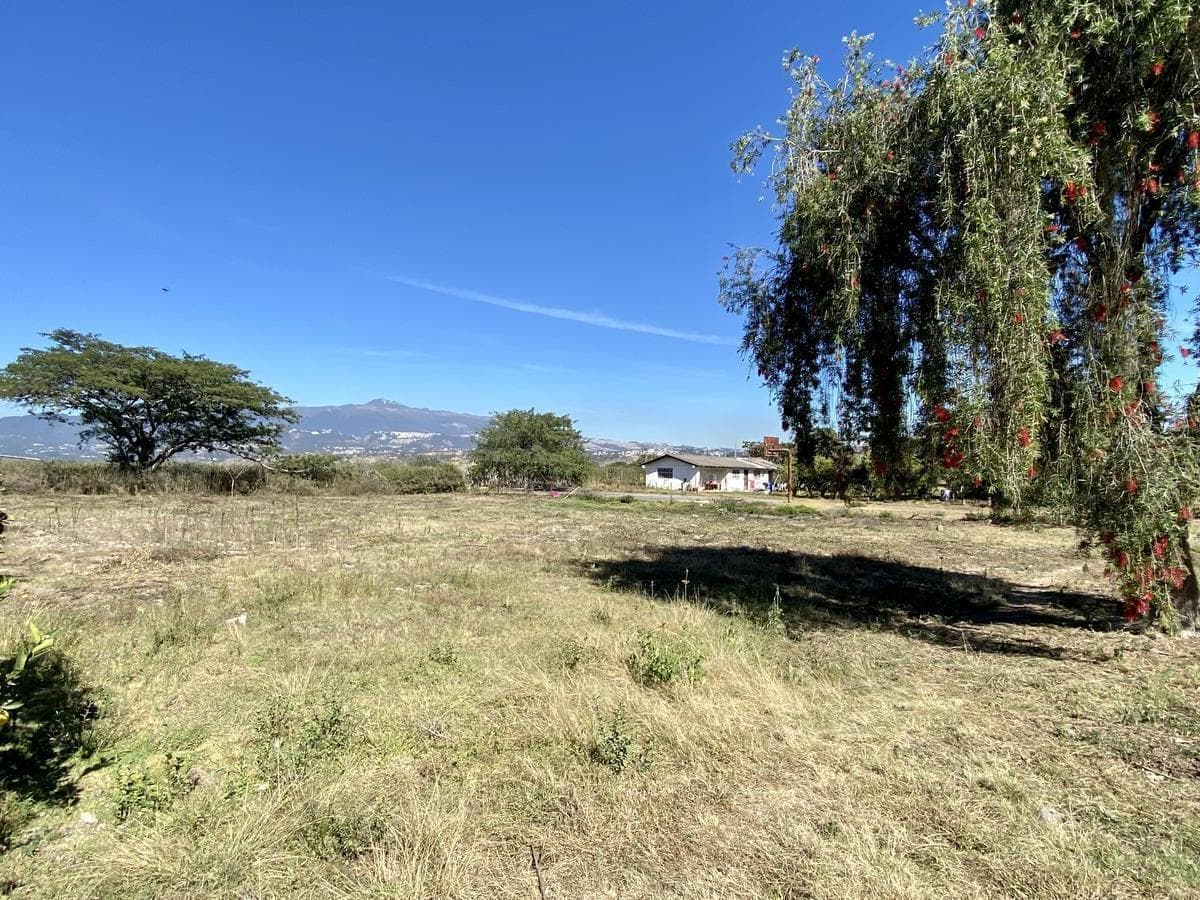 Vendo 3 Últimos Terrenos Desde 1.000 m² a $160 C/m² en Puembo (Ubicación Privilegiada) — imagen 9