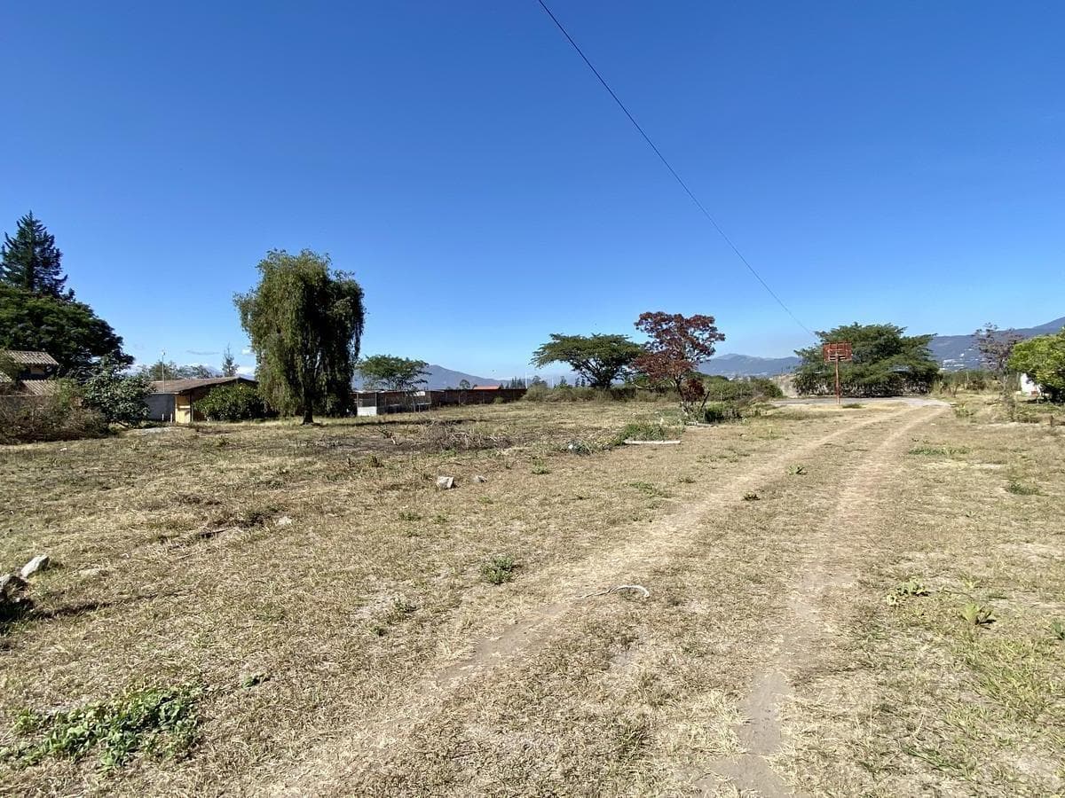 Vendo 3 Últimos Terrenos Desde 1.000 m² a $160 C/m² en Puembo (Ubicación Privilegiada) — imagen 8