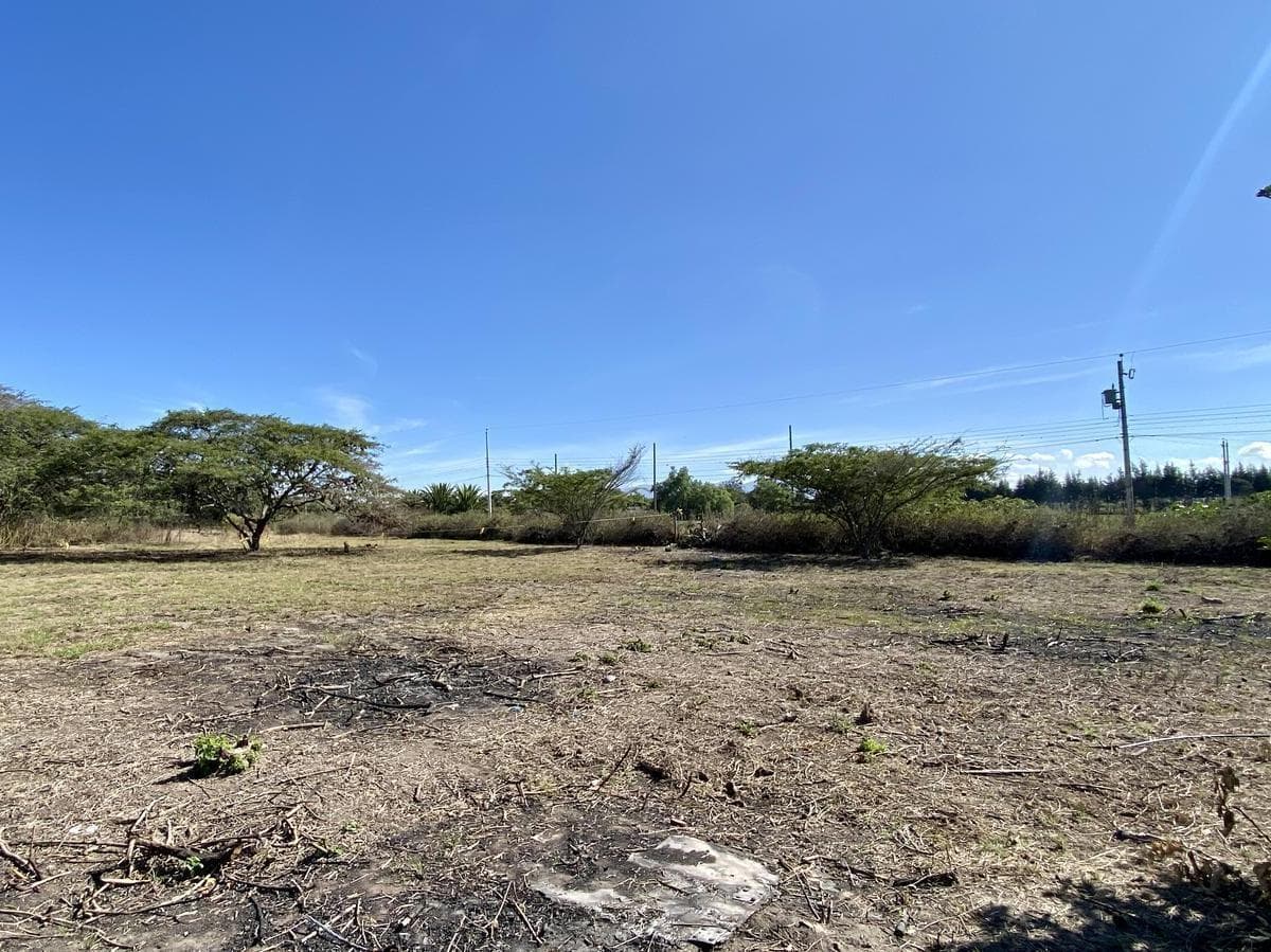 Vendo 3 Últimos Terrenos Desde 1.000 m² a $160 C/m² en Puembo (Ubicación Privilegiada) — imagen 7