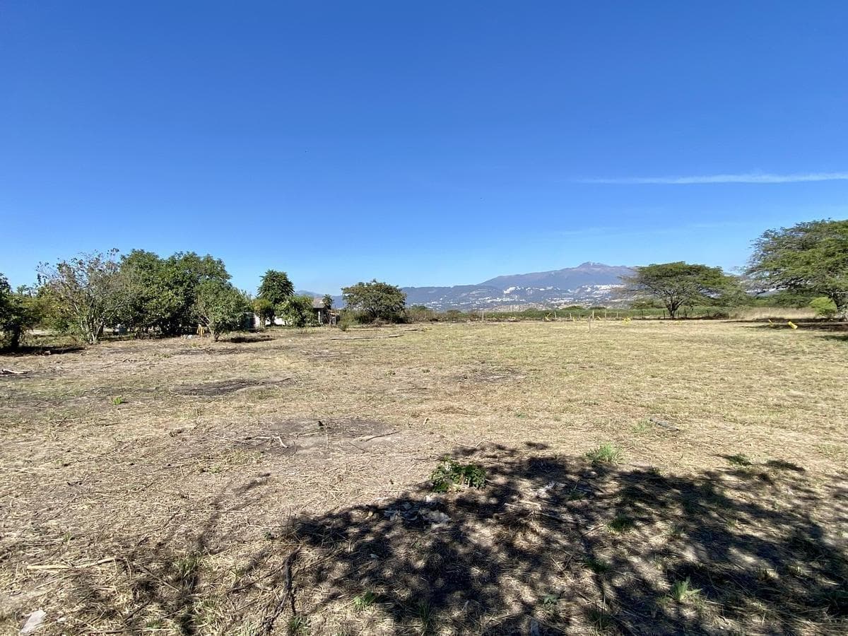 Vendo 3 Últimos Terrenos Desde 1.000 m² a $160 C/m² en Puembo (Ubicación Privilegiada) — imagen 6