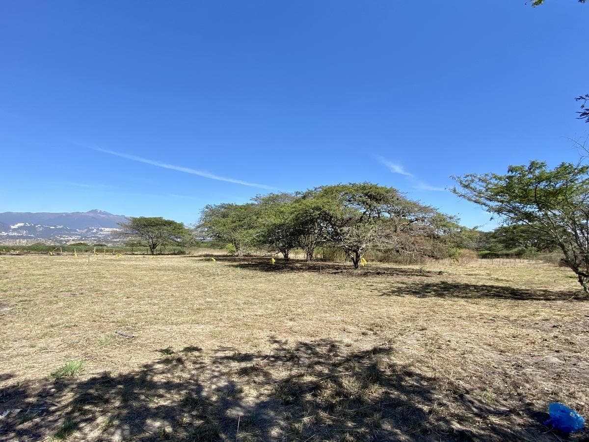 Vendo 3 Últimos Terrenos Desde 1.000 m² a $160 C/m² en Puembo (Ubicación Privilegiada) — imagen 5