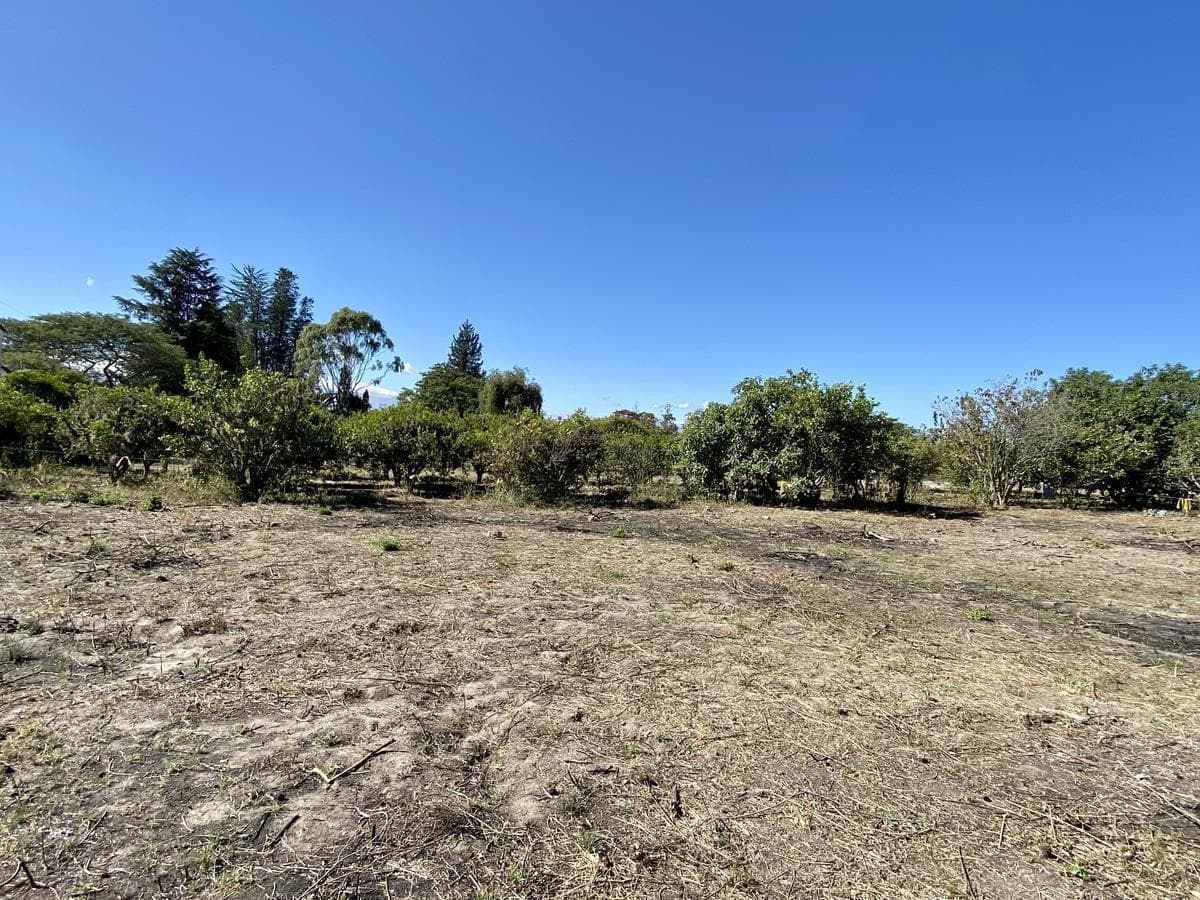 Vendo 3 Últimos Terrenos Desde 1.000 m² a $160 C/m² en Puembo (Ubicación Privilegiada) — imagen 4