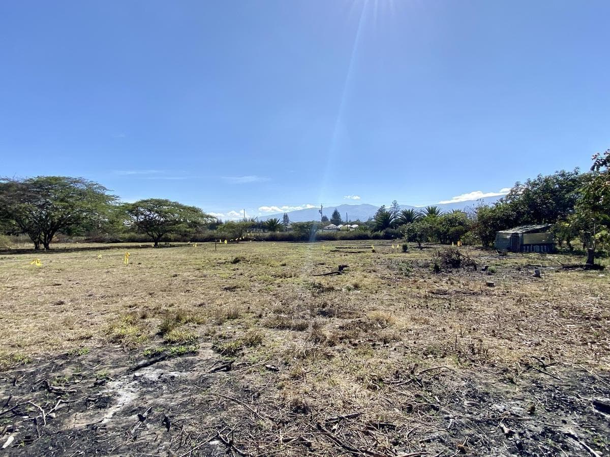 Vendo 3 Últimos Terrenos Desde 1.000 m² a $160 C/m² en Puembo (Ubicación Privilegiada) — imagen 3