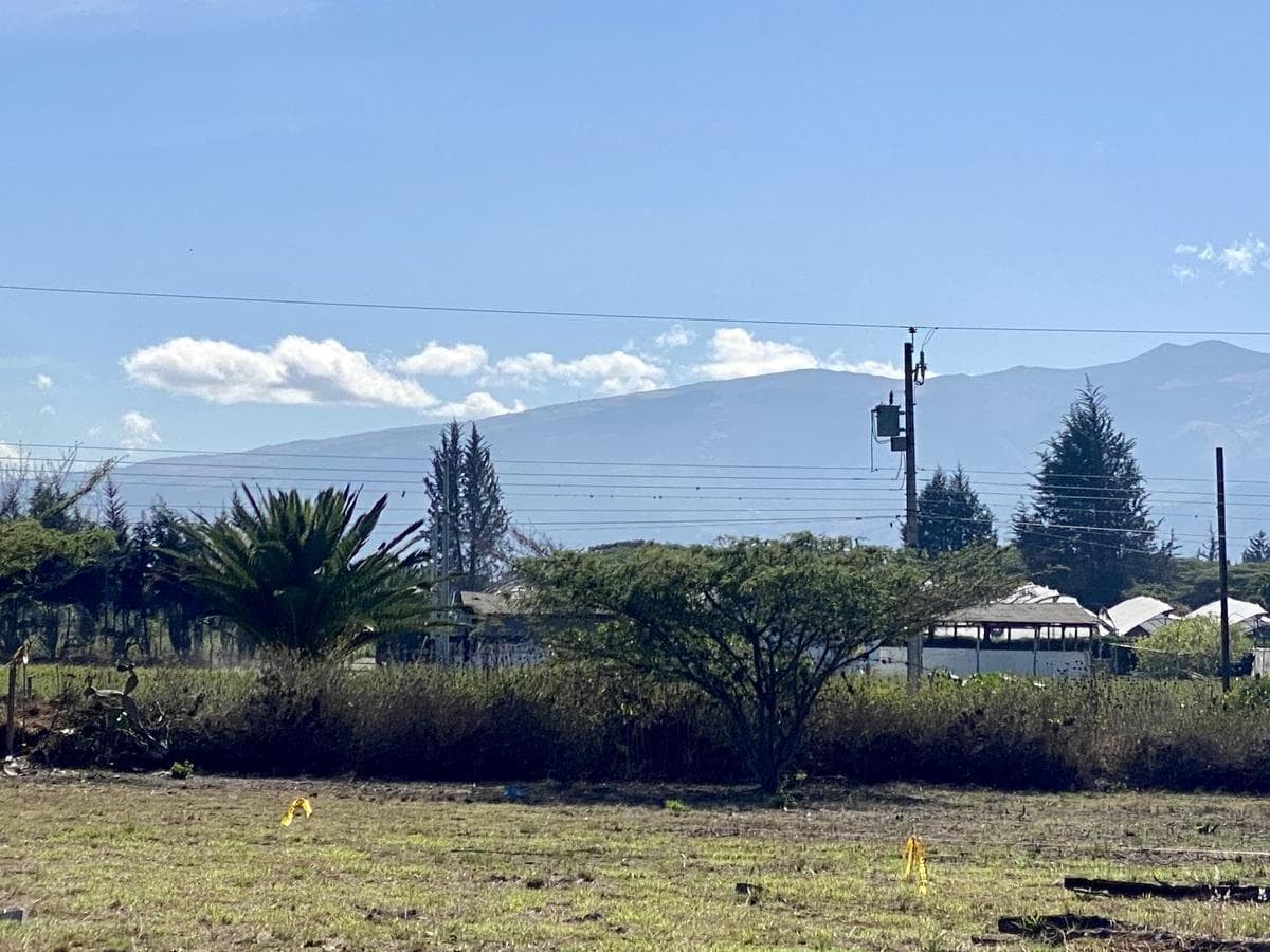 Vendo 3 Últimos Terrenos Desde 1.000 m² a $160 C/m² en Puembo (Ubicación Privilegiada) — imagen 2