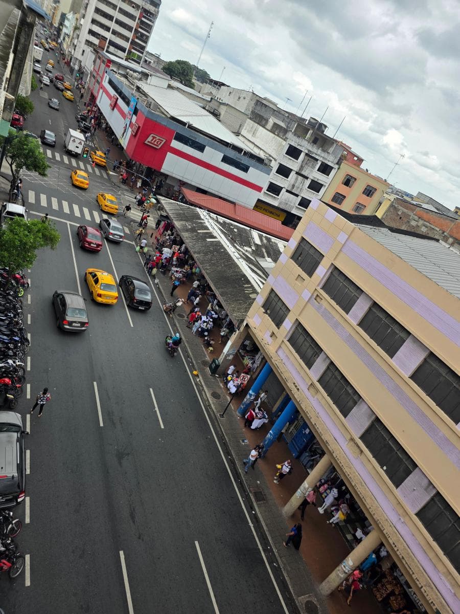 Vendo Propiedad Comercial y Residencial, Lorenzo de Garaycoa, Mercado Central, Guayas — imagen 10