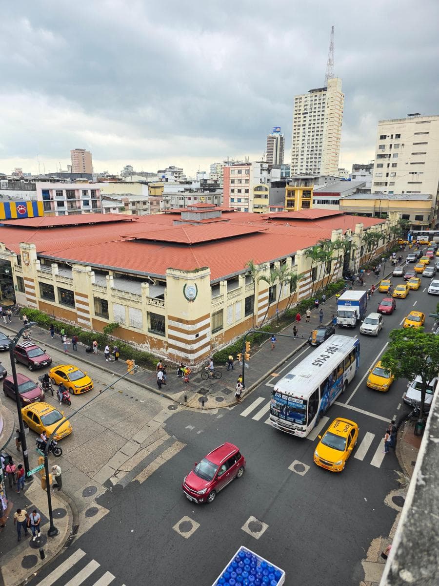 Vendo Propiedad Comercial y Residencial, Lorenzo de Garaycoa, Mercado Central, Guayas — imagen 8